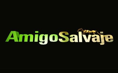 Amigo salvaje