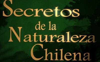 Secretos de la naturaleza chilena