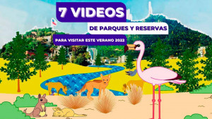 7 videos de parques y reservas para visitar este verano 2022