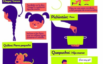Infografía Palabras de origen Mapuche
