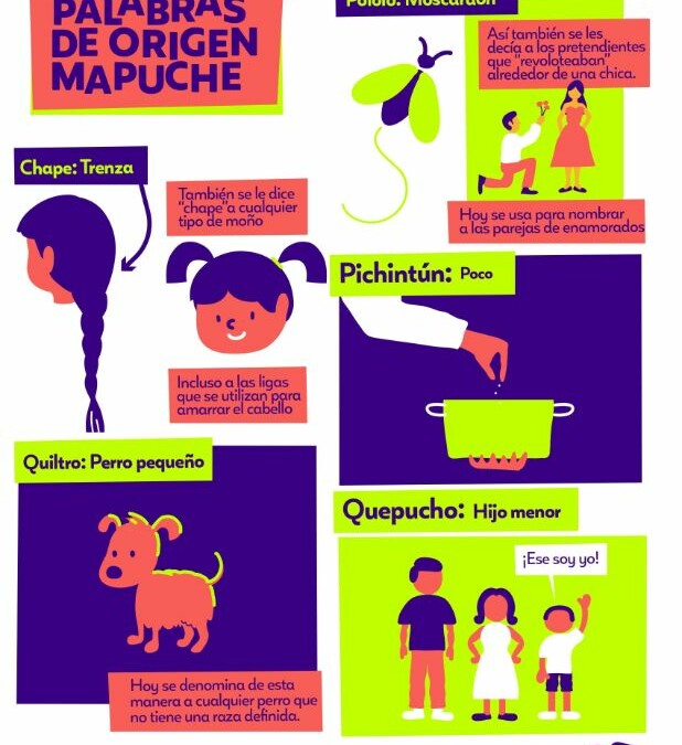 Infografía Palabras de origen Mapuche