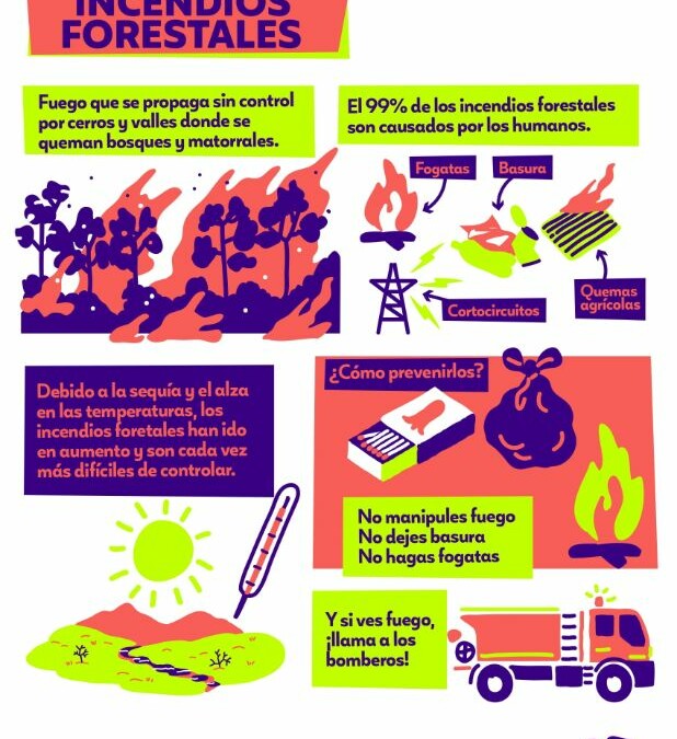 Infografía Incendios forestales