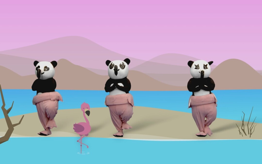 Panda Flamenco