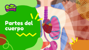 Camaleon T3: Partes del cuerpo
