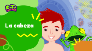 Camaleon T3: La cabeza
