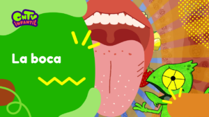 Camaleon T3: La boca