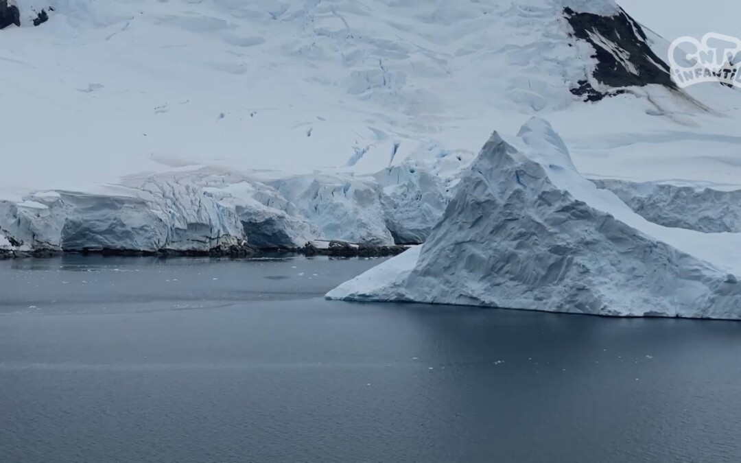 Glaciares