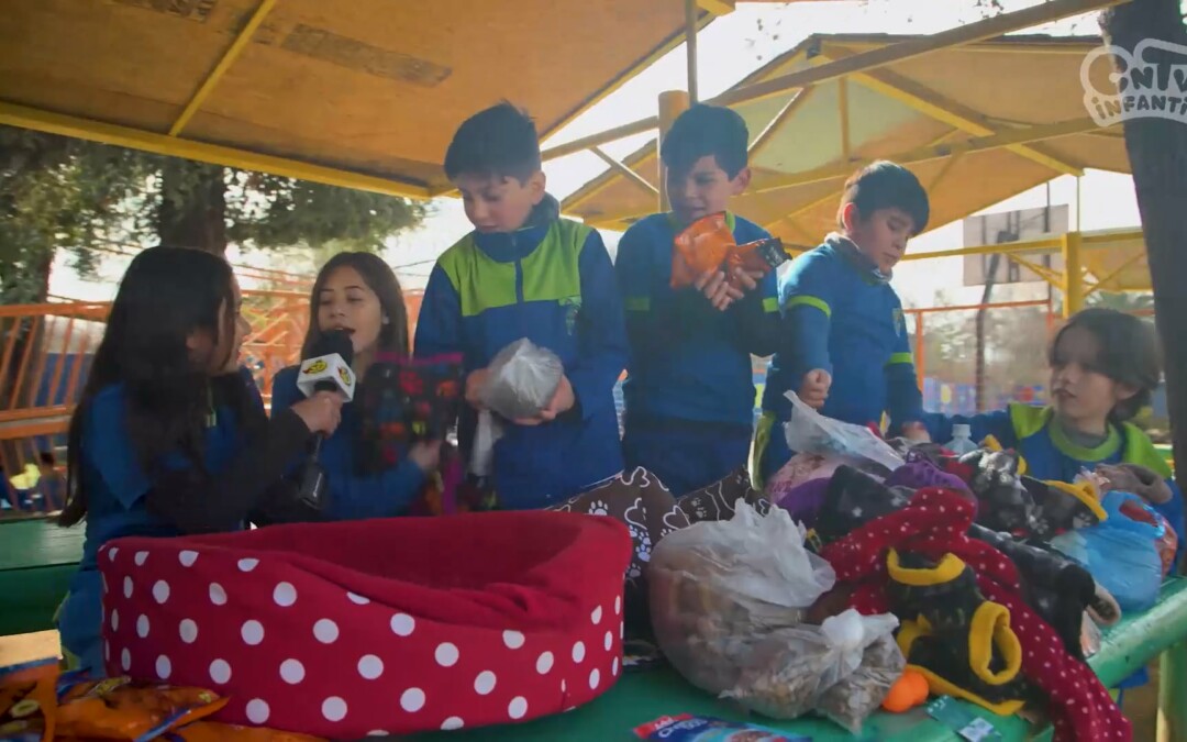 El trueque solidario