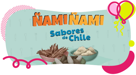 Ñamiñami Sabores de Chile