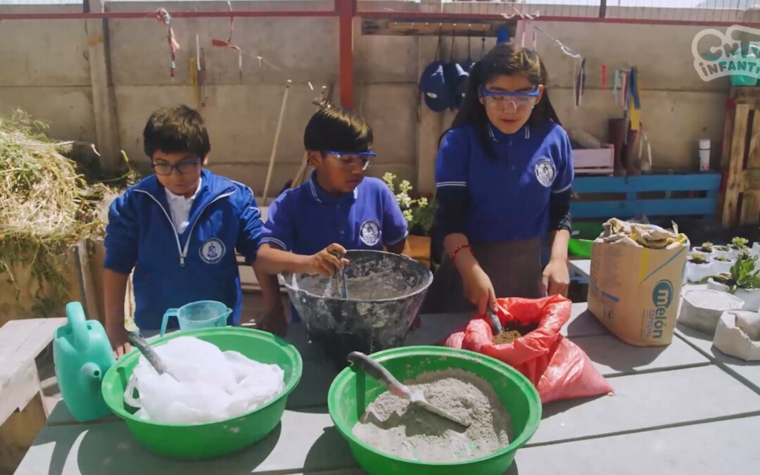 Maceteros de cajitas