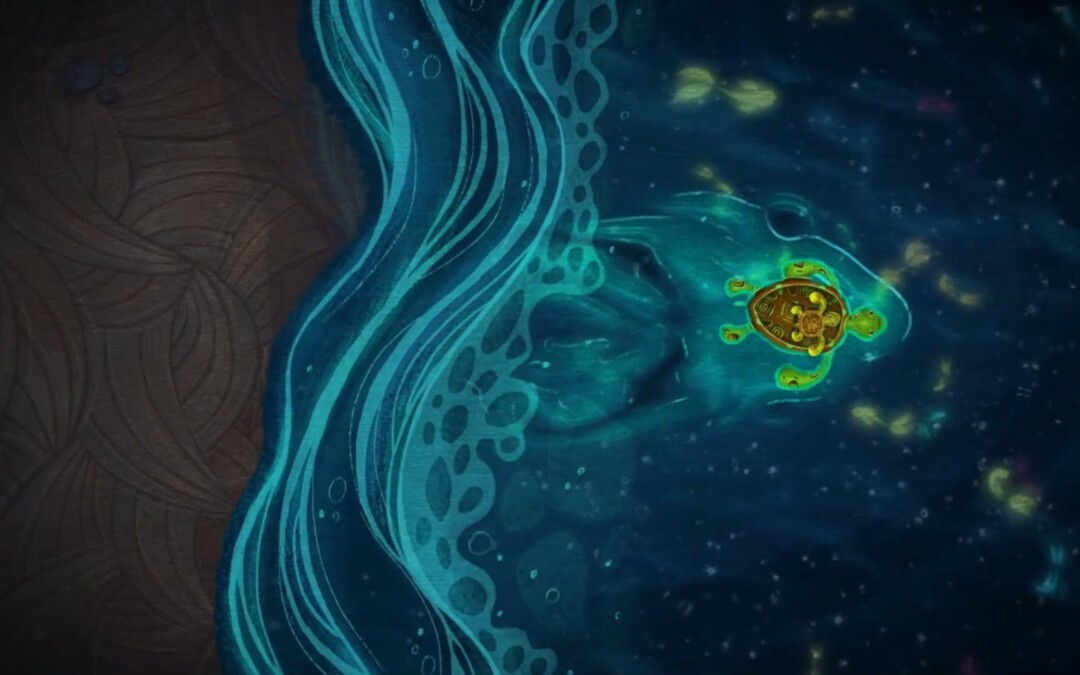 Tortugas en las Estrellas