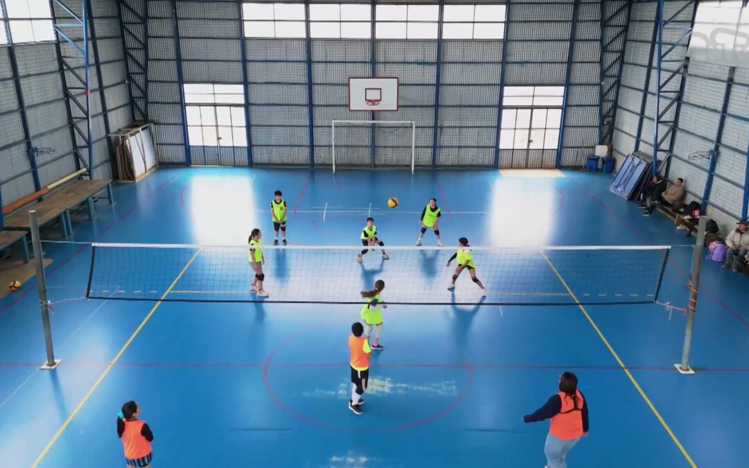 Vóleibol