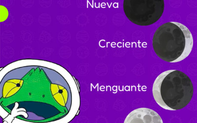 Afiche educativo: Fases de la Luna