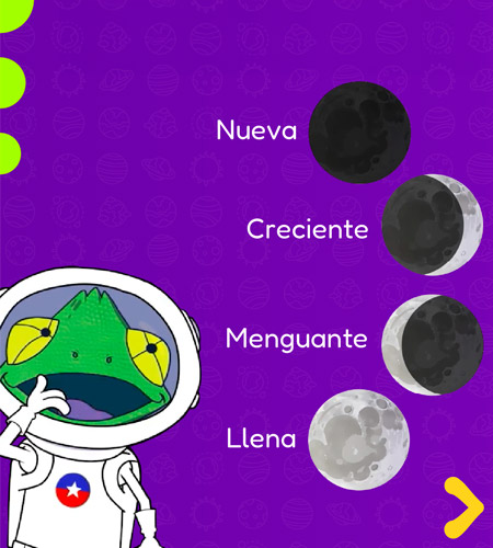 Afiche educativo: Fases de la Luna